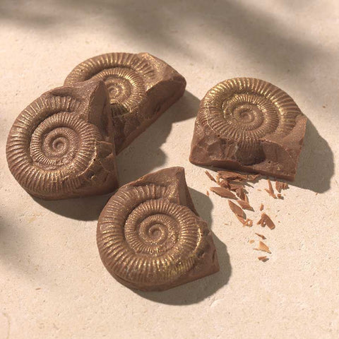 Chocolate Fossils