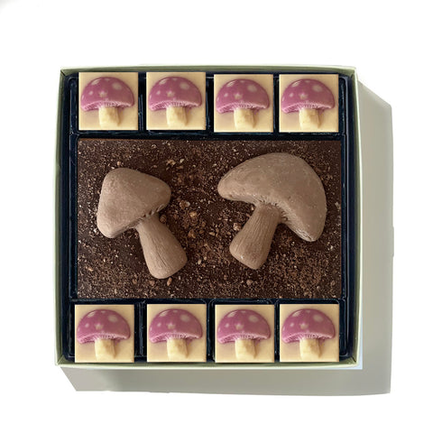 Chocolate Toadstools Chocolate Toadstools