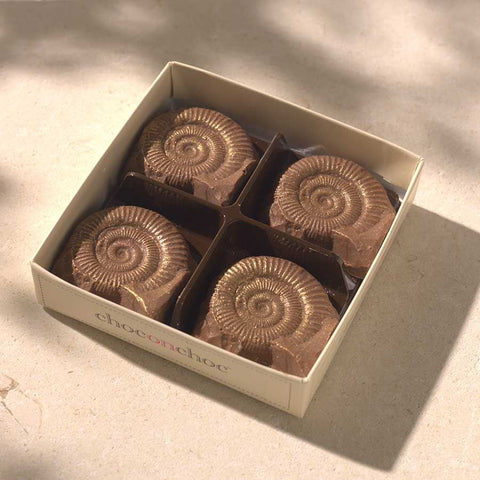 Chocolate Fossils