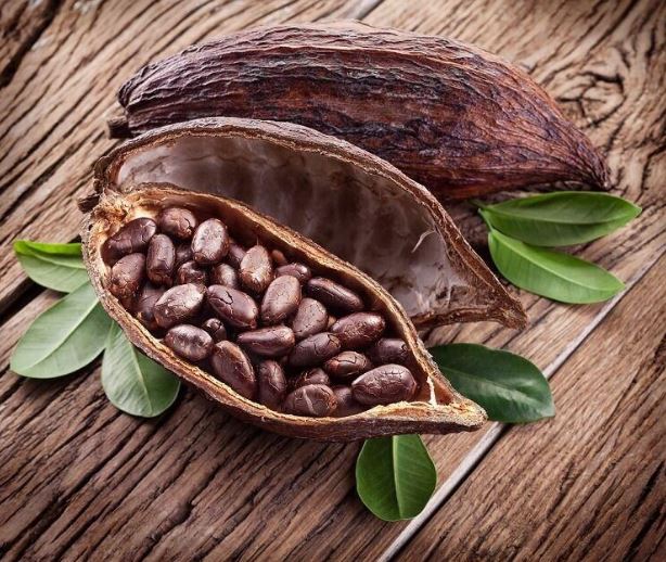 Chocolate really does grow on trees
