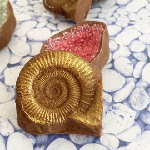 Chocolate Fossils And Amethyst