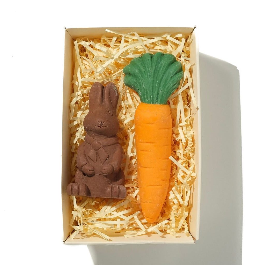 Chocolate Bunny And Large Carrot