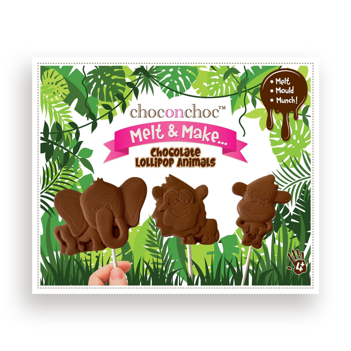 Melt Make Your Own Chocolate Lollipops