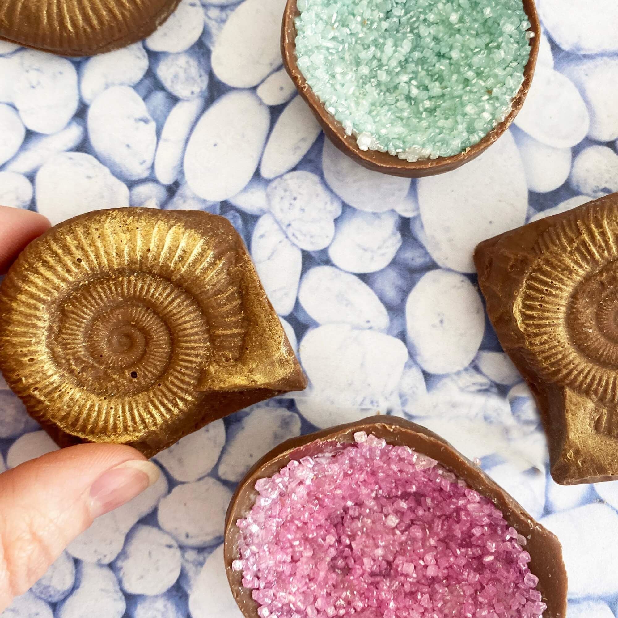 Chocolate Fossils And Amethyst