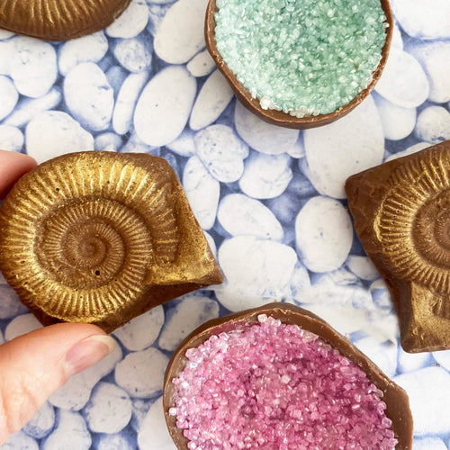 Chocolate Fossils And Amethyst
