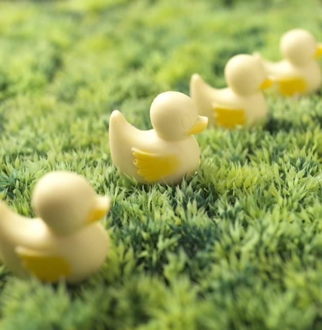 Chocolate Ducks