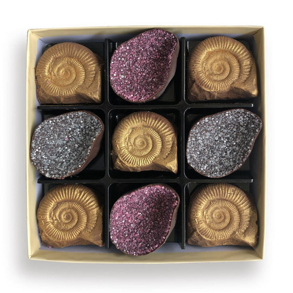 Chocolate Fossils And Amethyst