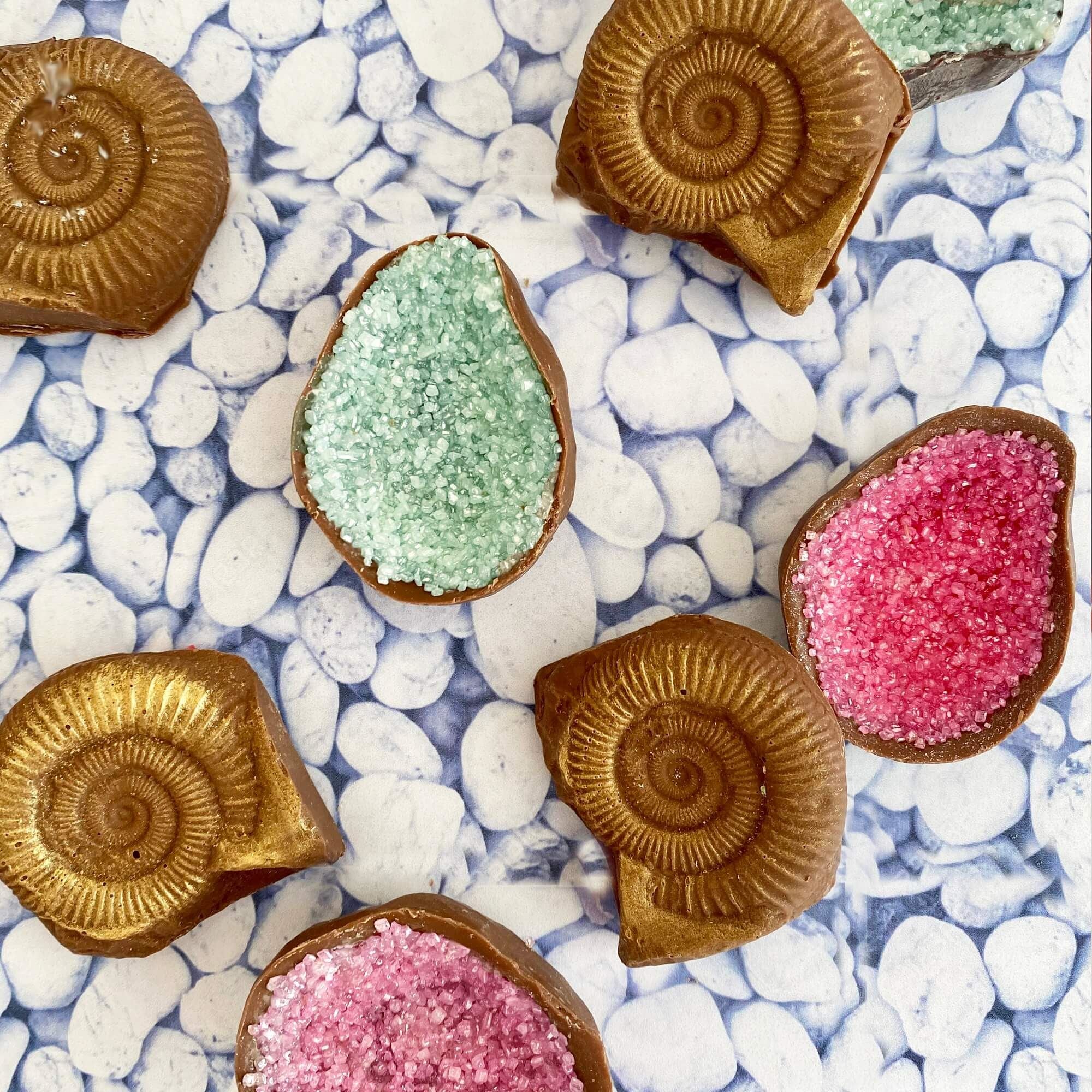 Chocolate Fossils And Amethyst