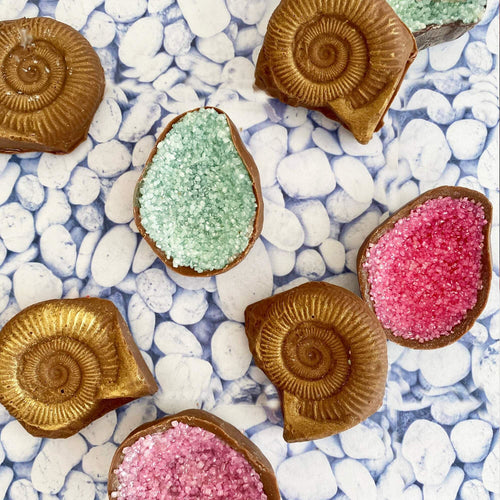 Chocolate Fossils And Amethyst
