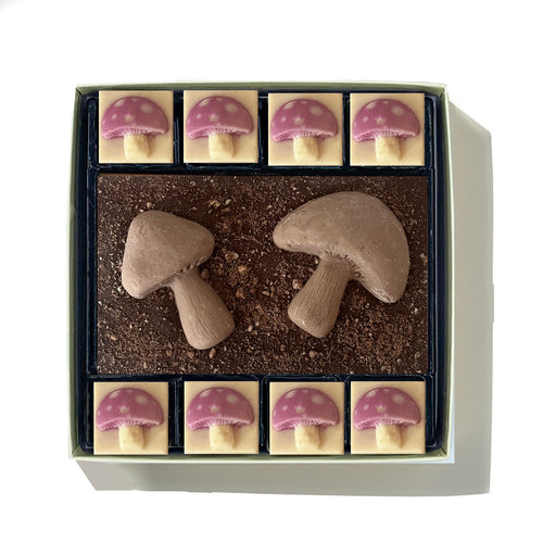 Chocolate Toadstools