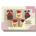 Chocolate Santa Box