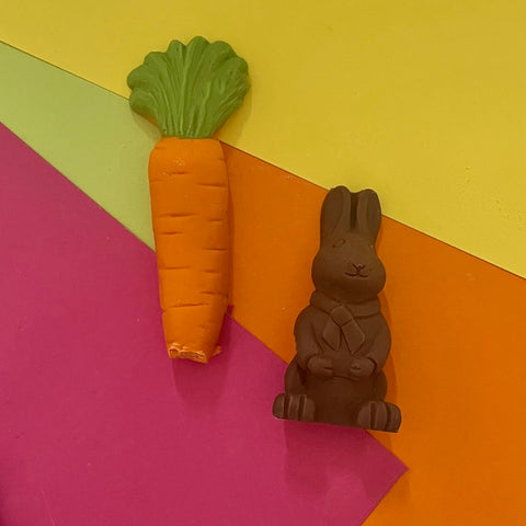 Chocolate Bunny And Large Carrot