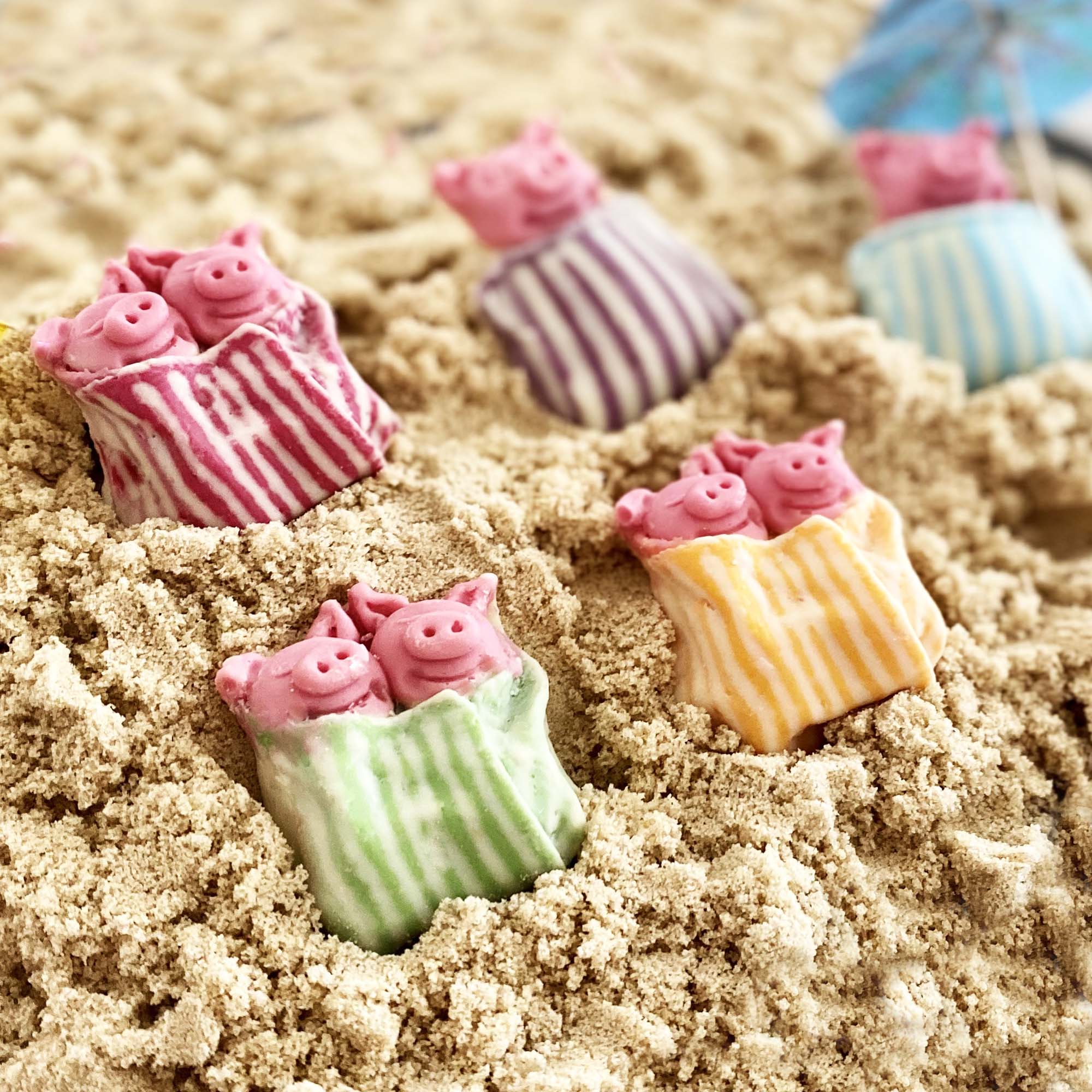 Chocolate Pigs In Summer Blankets