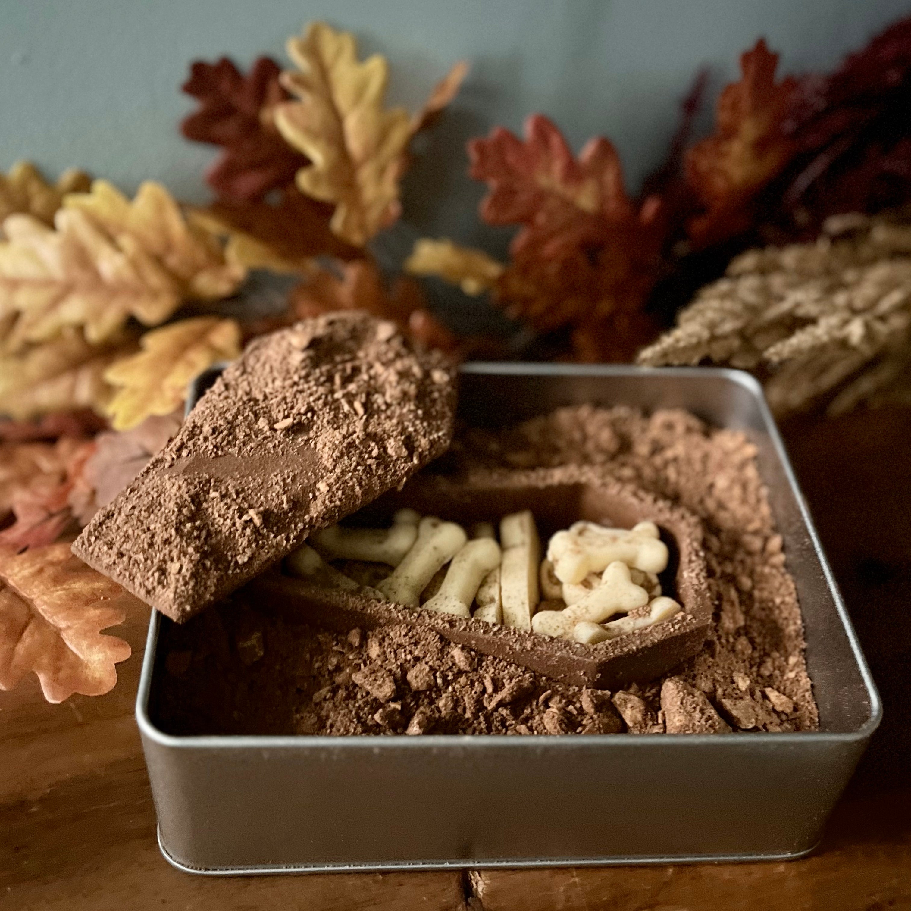 Chocolate Coffin Excavation Kit