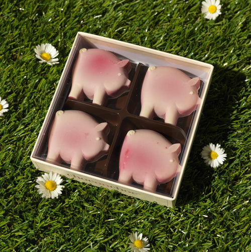 Chocolate Pigs Four Box