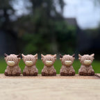 Chocolate Highland Cows