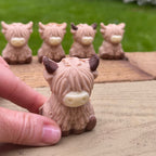 Chocolate Highland Cows