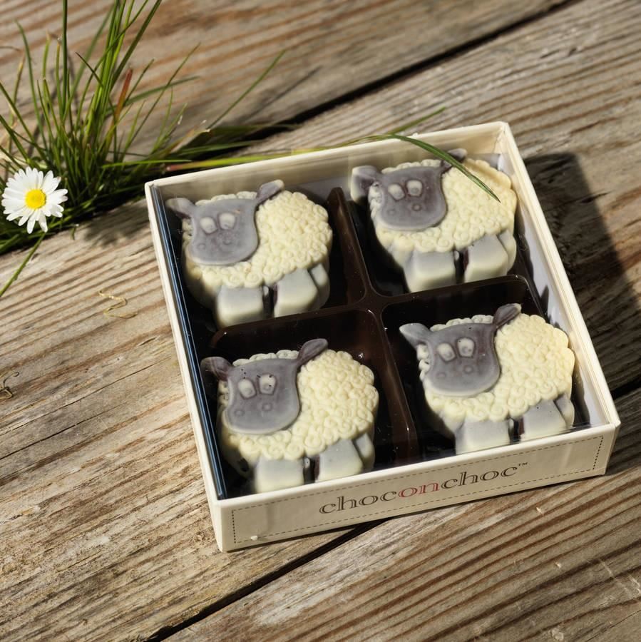 Chocolate Sheep