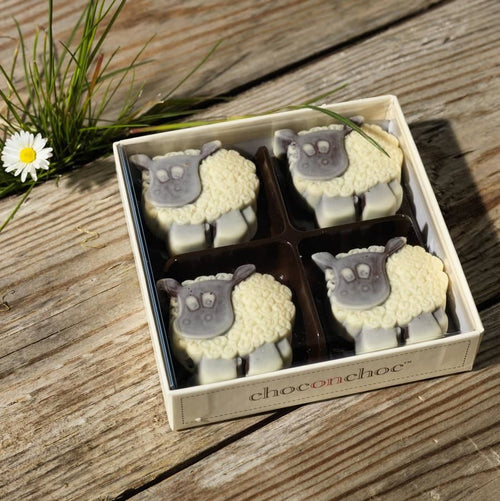 Chocolate Sheep