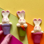 Three Chocolate Bunnies