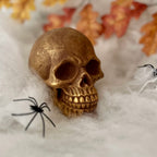 Giant Chocolate Skull