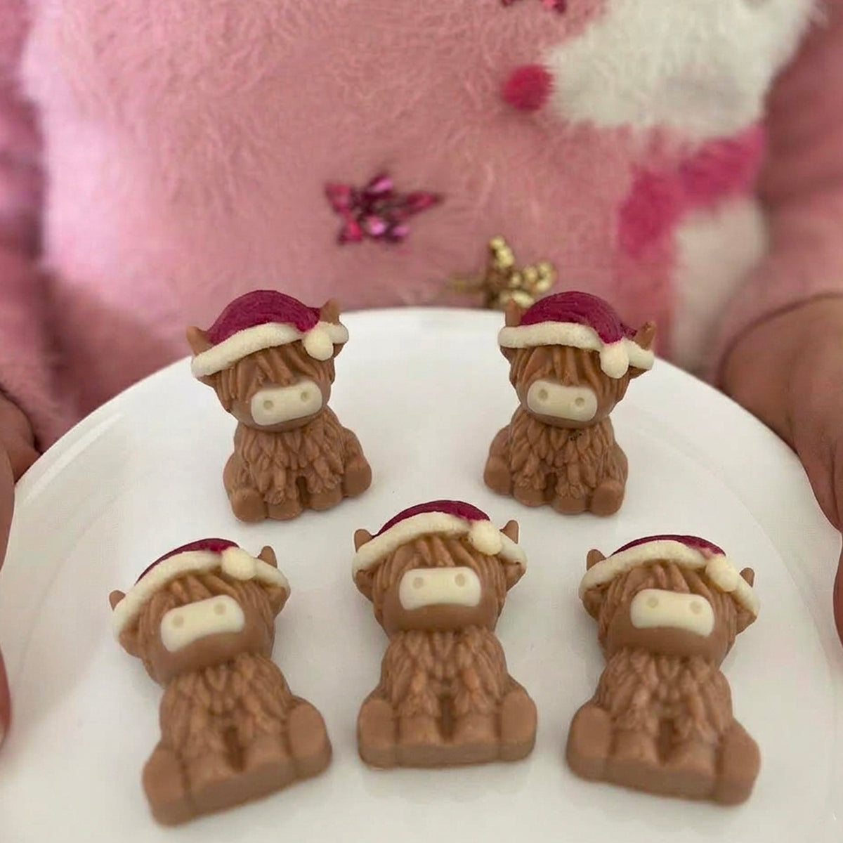 Chocolate Christmas Highland Cows